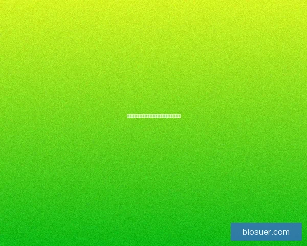 奇迹暖暖医疗所之谜揭秘隐藏的秘密与谜团探索