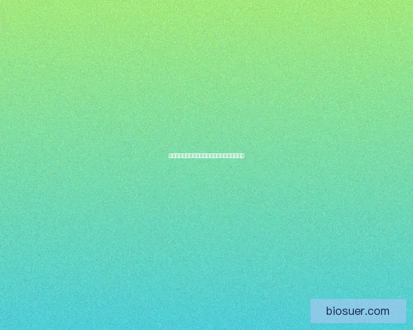 银色北伐军战袍在哪购买及相关配件推荐的全攻略