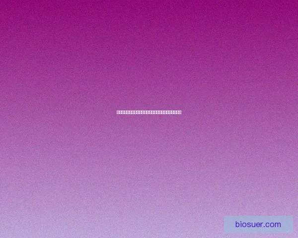 女鬼剑士转职选择推荐不同职业特点分析助你做出最佳决策