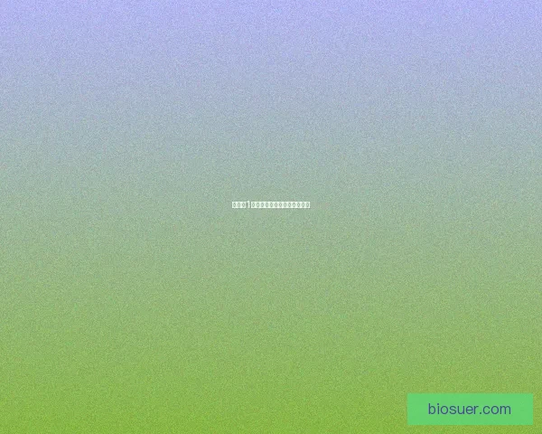 幻世录1转职系统全面解析及策略指南